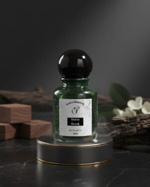 Storm Break (Inspired by Creed Aventus)